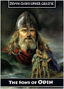 The Sons Of Odin A Heroic Analysis Of The Volsunga Saga